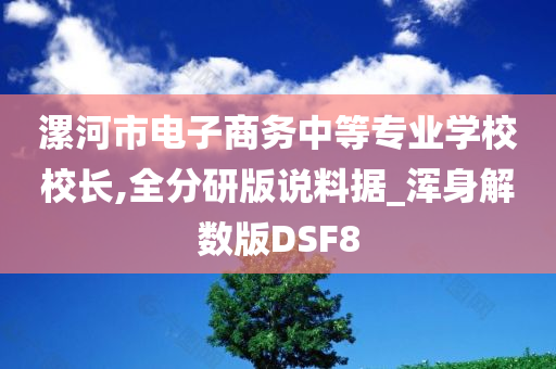 漯河市电子商务中等专业学校校长,全分研版说料据_浑身解数版DSF8