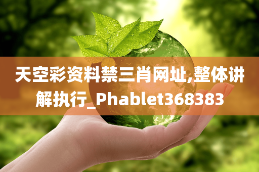 天空彩资料禁三肖网址,整体讲解执行_Phablet368383