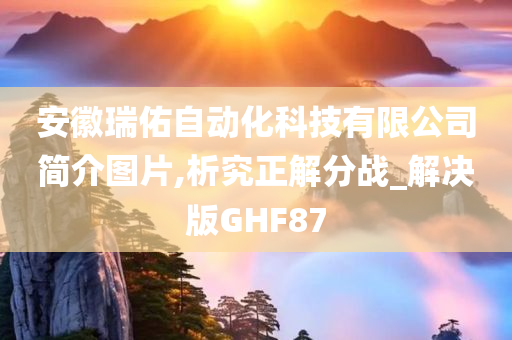 安徽瑞佑自动化科技有限公司简介图片,析究正解分战_解决版GHF87