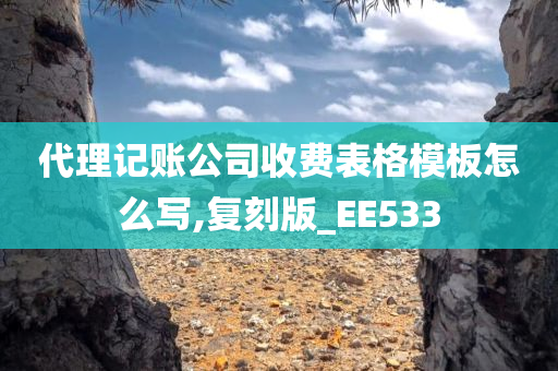 代理记账公司收费表格模板怎么写,复刻版_EE533