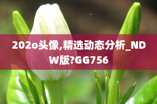 202o头像,精选动态分析_NDW版?GG756