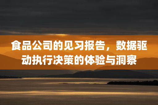 食品公司的见习报告，数据驱动执行决策的体验与洞察