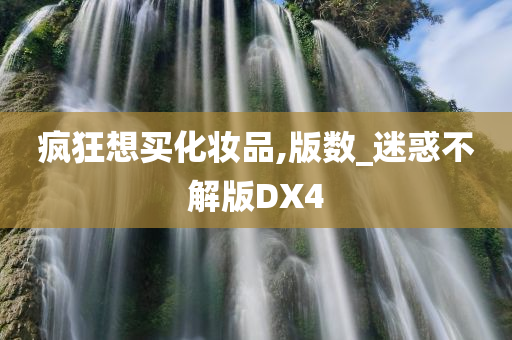 疯狂想买化妆品,版数_迷惑不解版DX4