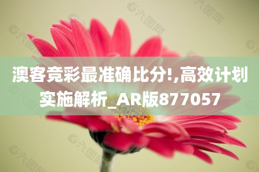 澳客竞彩最准确比分!,高效计划实施解析_AR版877057