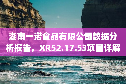 湖南一诺食品有限公司数据分析报告，XR52.17.53项目详解