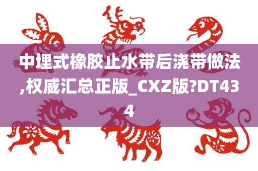 中埋式橡胶止水带后浇带做法,权威汇总正版_CXZ版?DT434