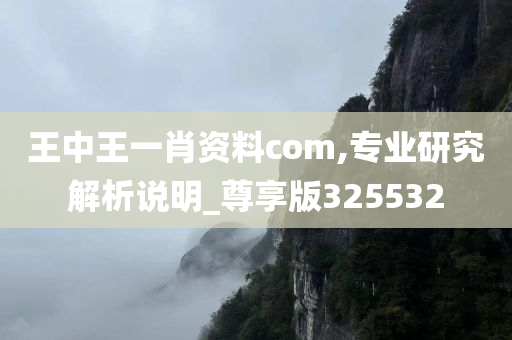 王中王一肖资料com,专业研究解析说明_尊享版325532