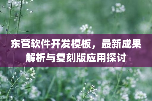 东营软件开发模板，最新成果解析与复刻版应用探讨