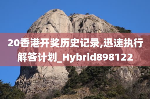 20香港开奖历史记录,迅速执行解答计划_Hybrid898122