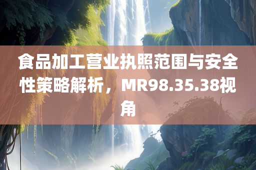 食品加工营业执照范围与安全性策略解析，MR98.35.38视角