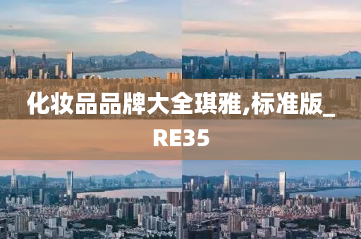 化妆品品牌大全琪雅,标准版_RE35