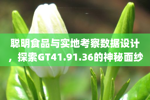 聪明食品与实地考察数据设计，探索GT41.91.36的神秘面纱