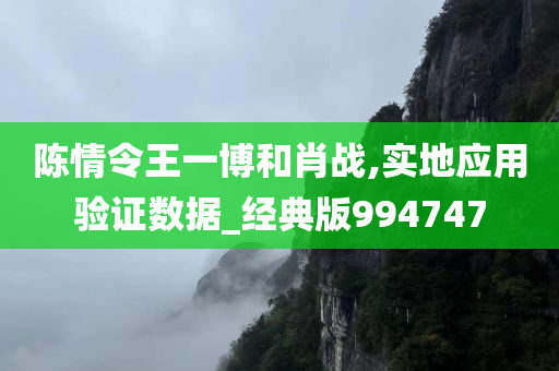 陈情令王一博和肖战,实地应用验证数据_经典版994747