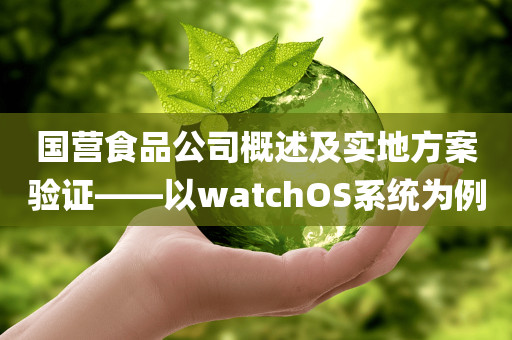 国营食品公司概述及实地方案验证——以watchOS系统为例