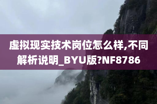 虚拟现实技术岗位怎么样,不同解析说明_BYU版?NF8786