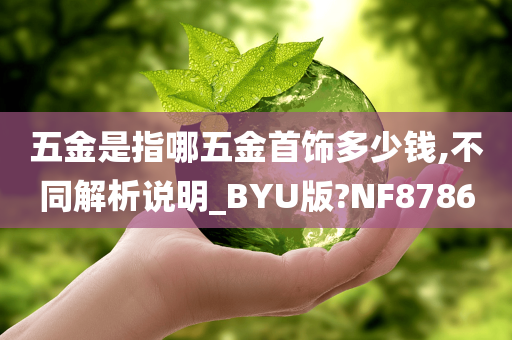 五金是指哪五金首饰多少钱,不同解析说明_BYU版?NF8786