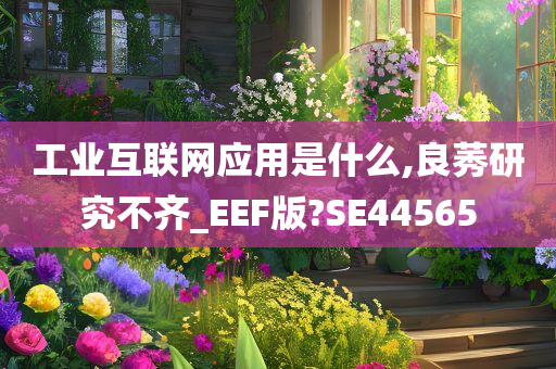 工业互联网应用是什么,良莠研究不齐_EEF版?SE44565