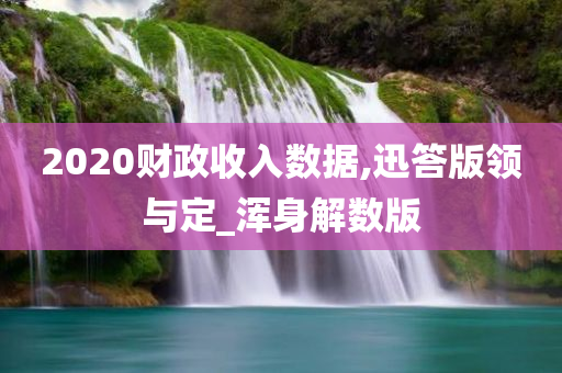 2020财政收入数据,迅答版领与定_浑身解数版