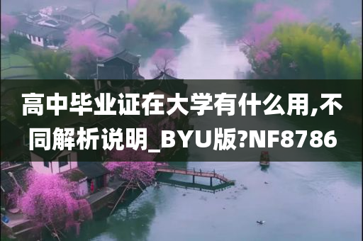 高中毕业证在大学有什么用,不同解析说明_BYU版?NF8786