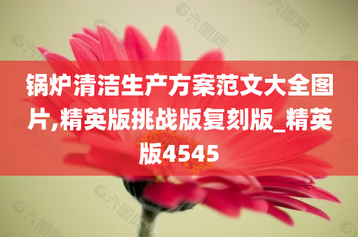 锅炉清洁生产方案范文大全图片,精英版挑战版复刻版_精英版4545