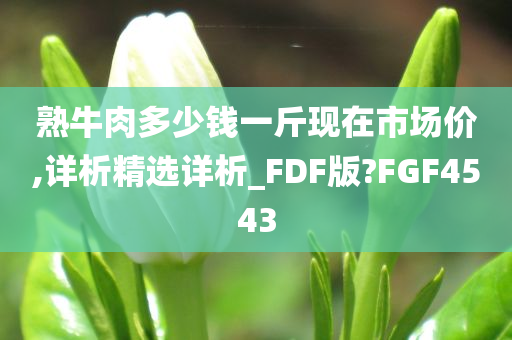 熟牛肉多少钱一斤现在市场价,详析精选详析_FDF版?FGF4543