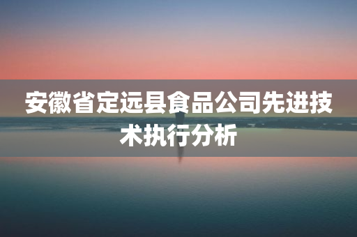 安徽省定远县食品公司先进技术执行分析