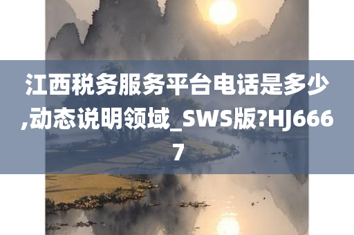 江西税务服务平台电话是多少,动态说明领域_SWS版?HJ6667