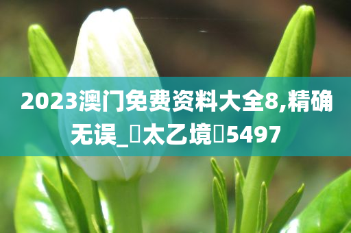 2023澳门免费资料大全8,精确无误_‌太乙境‌5497