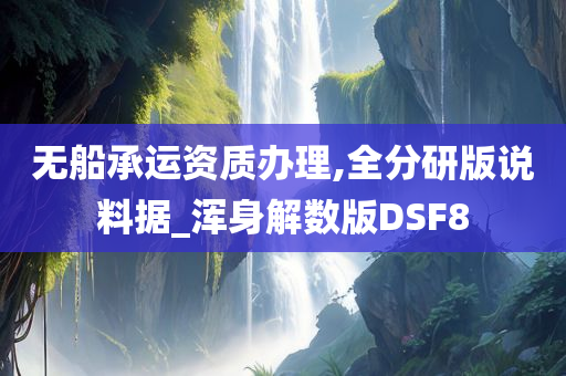 无船承运资质办理,全分研版说料据_浑身解数版DSF8