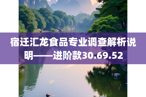 宿迁汇龙食品专业调查解析说明——进阶款30.69.52