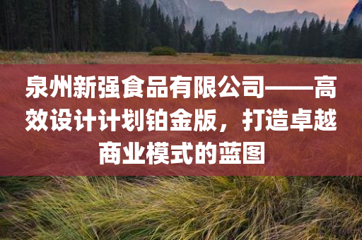 泉州新强食品有限公司——高效设计计划铂金版，打造卓越商业模式的蓝图