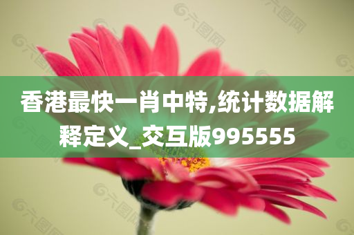 香港最快一肖中特,统计数据解释定义_交互版995555