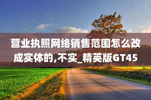 营业执照网络销售范围怎么改成实体的,不实_精英版GT45