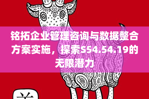 铭拓企业管理咨询与数据整合方案实施，探索S54.54.19的无限潜力