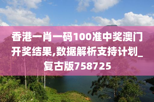 香港一肖一码100准中奖澳门开奖结果,数据解析支持计划_复古版758725