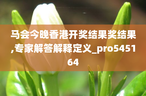 马会今晚香港开奖结果奖结果,专家解答解释定义_pro545164