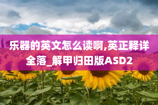 乐器的英文怎么读啊,英正释详全落_解甲归田版ASD2