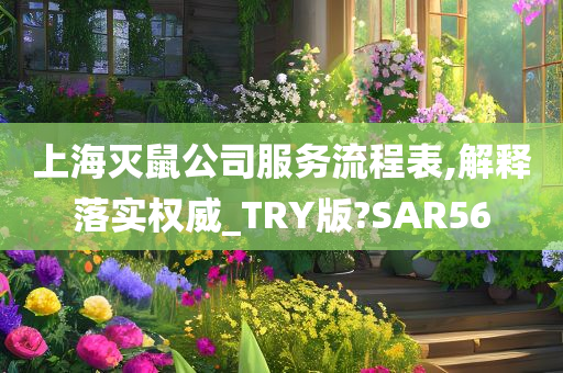 上海灭鼠公司服务流程表,解释落实权威_TRY版?SAR56