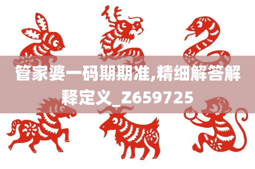 管家婆一码期期准,精细解答解释定义_Z659725