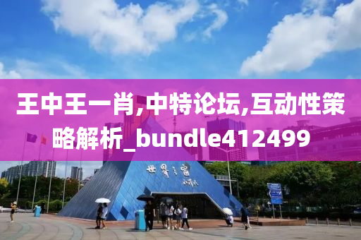 王中王一肖,中特论坛,互动性策略解析_bundle412499