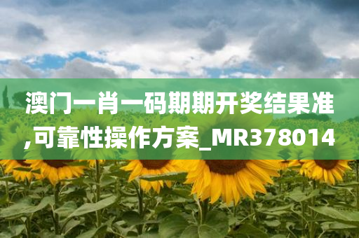 澳门一肖一码期期开奖结果准,可靠性操作方案_MR378014