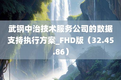 武钢中治技术服务公司的数据支持执行方案_FHD版（32.45.86）