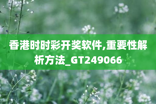 香港时时彩开奖软件,重要性解析方法_GT249066