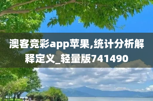 澳客竞彩app苹果,统计分析解释定义_轻量版741490