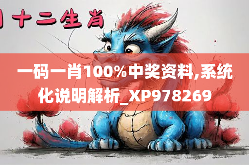 一码一肖100%中奖资料,系统化说明解析_XP978269