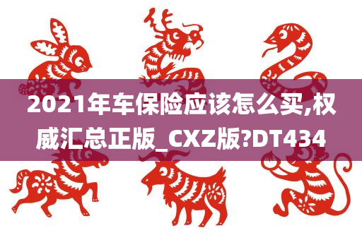 2021年车保险应该怎么买,权威汇总正版_CXZ版?DT434