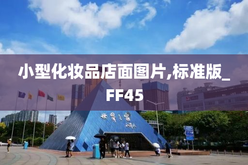 小型化妆品店面图片,标准版_FF45