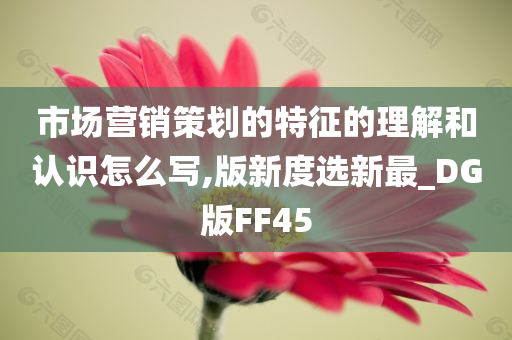 市场营销策划的特征的理解和认识怎么写,版新度选新最_DG版FF45