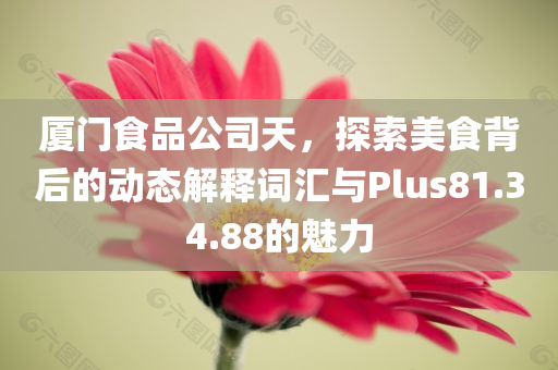 厦门食品公司天，探索美食背后的动态解释词汇与Plus81.34.88的魅力