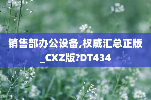 销售部办公设备,权威汇总正版_CXZ版?DT434